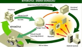 Biyokütle Nedir